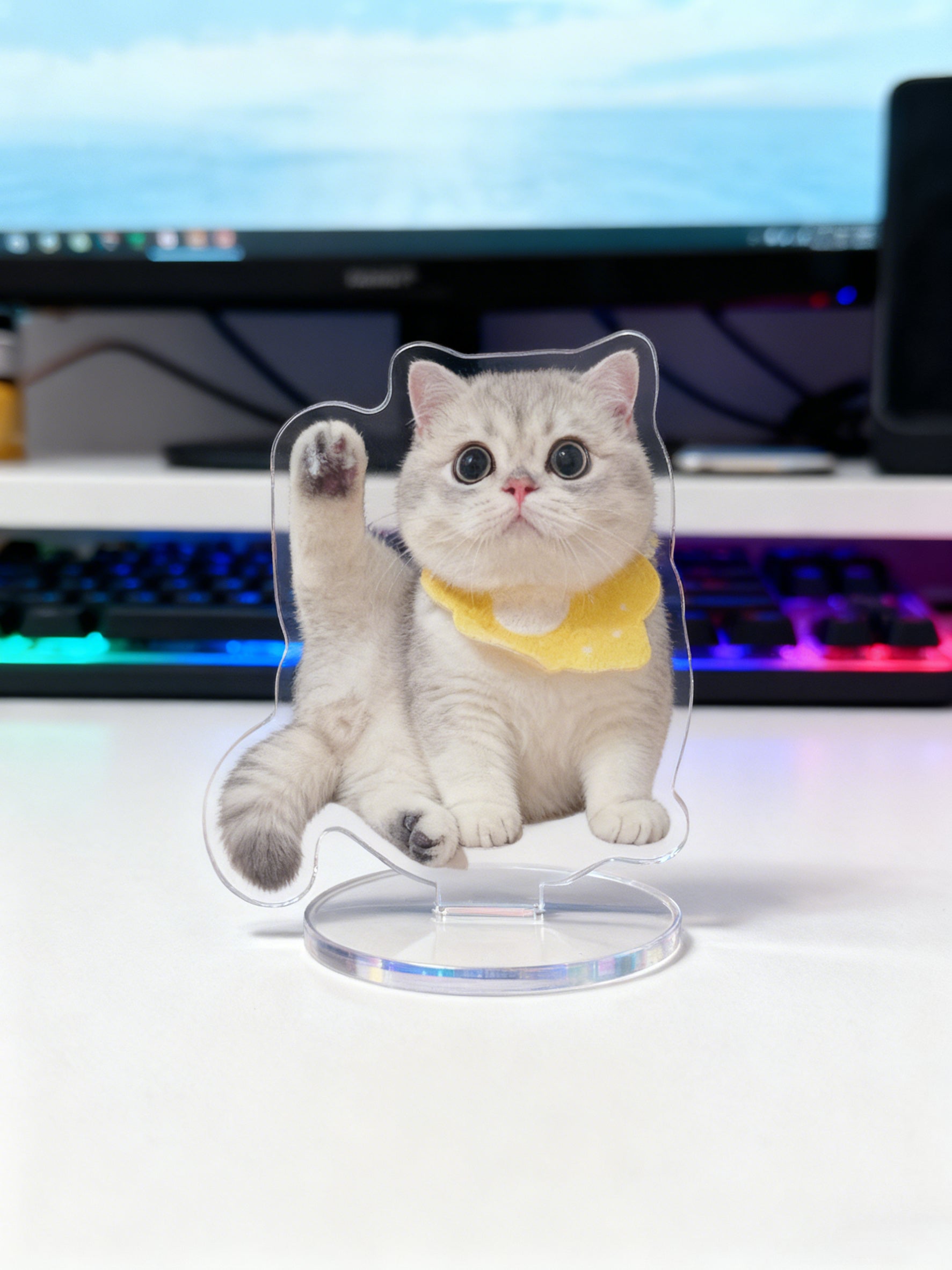 Your Desk Deserves an Attitude: Custom Acrylic Photo Stand - Free Shipping