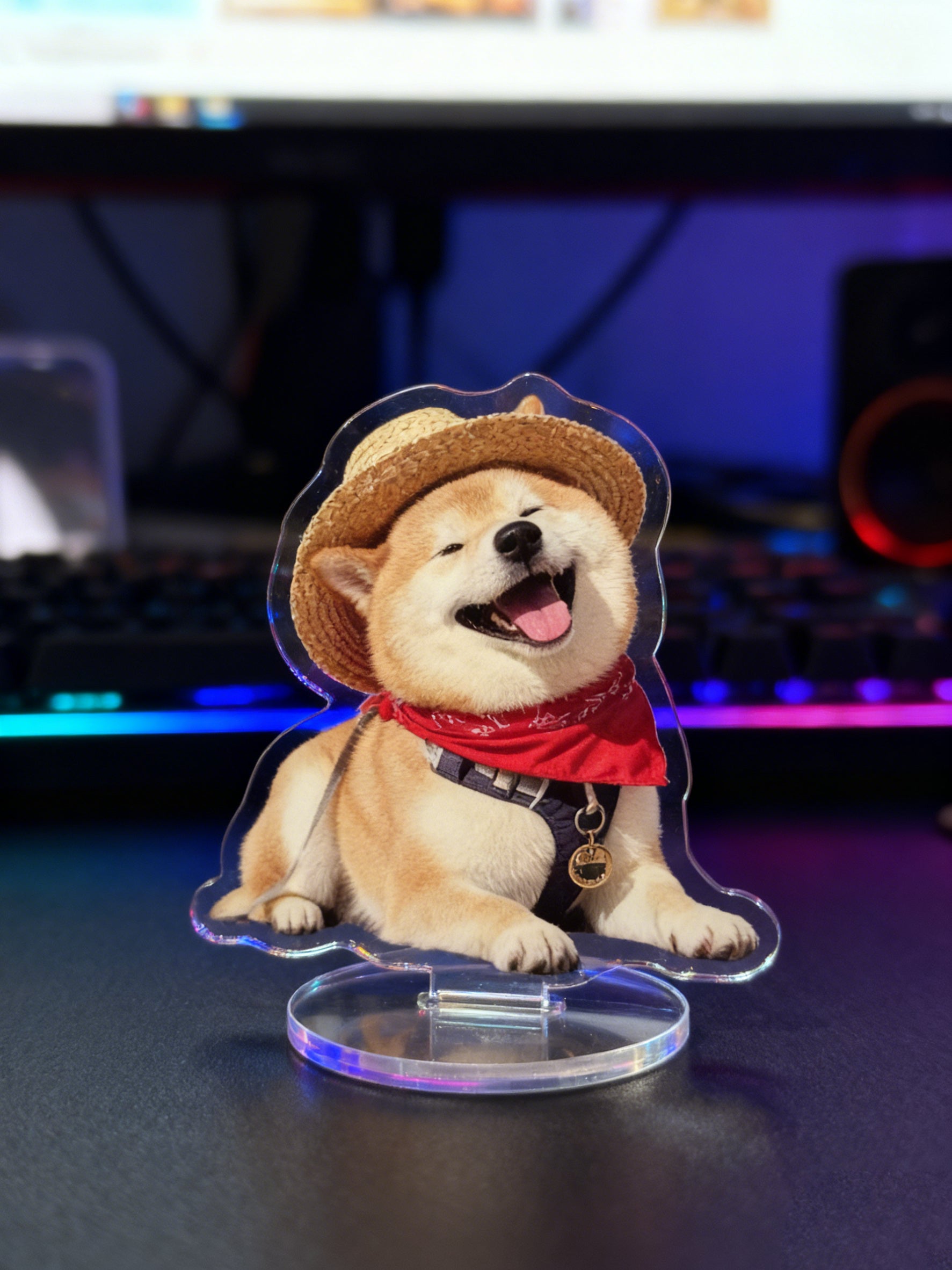 Your Desk Deserves an Attitude: Custom Acrylic Photo Stand - Free Shipping