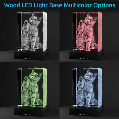 Frozen Your Love in Crystal: Custom 3D LED Photo