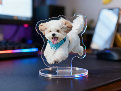 Your Desk Deserves an Attitude: Custom Acrylic Photo Stand - Free Shipping