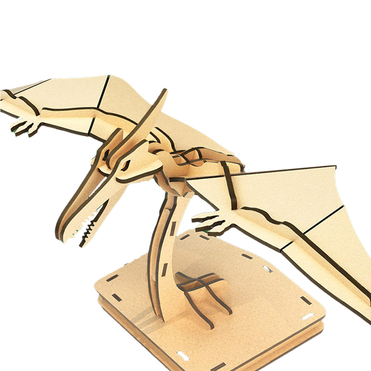 #Animals_Pterosaur