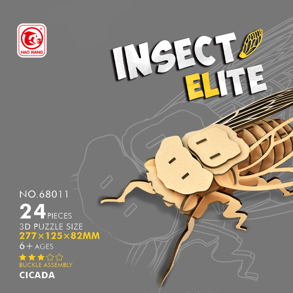 #Insects_Cicada
