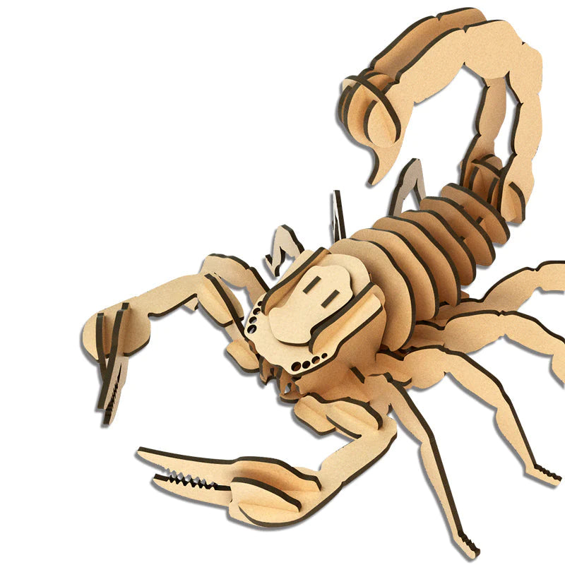 #Insects_Scorpion