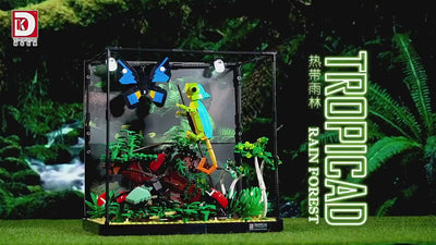 DK Tropical Rain Forest Block